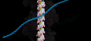 reca_family_1.png