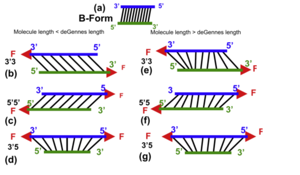 Schematic of different pulling techniques showing changes in base pair tilt and separation.